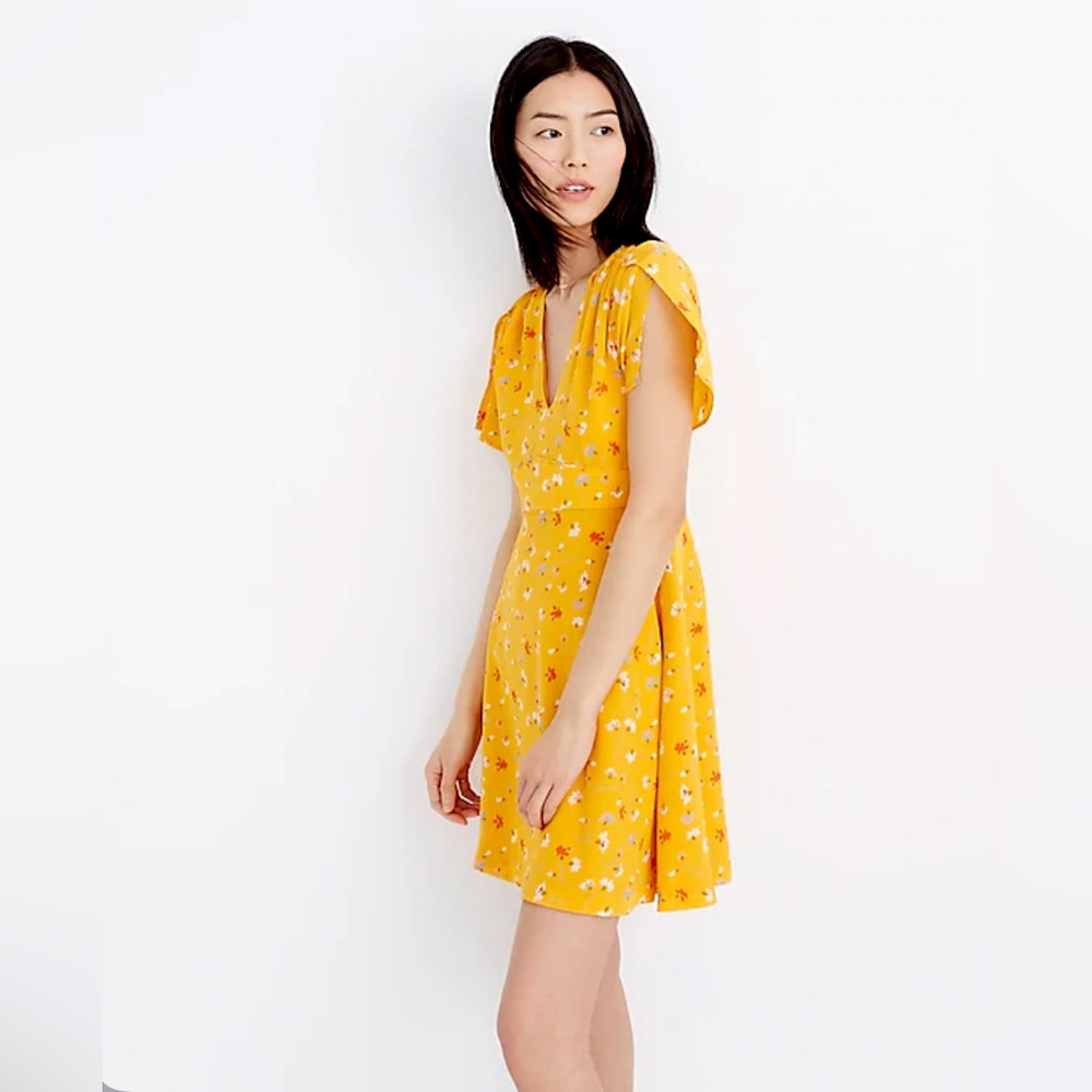 Madewell Silk Belladonna Painted Dress in Carnations Size 12